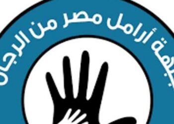 إنما للصبر حدود.. الآباء الأرامل يستغيثون بـ”السيسي” لسرعة تعديل قانون الأحوال الشخصية