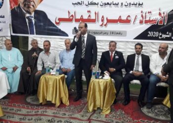 عمرو القماطي