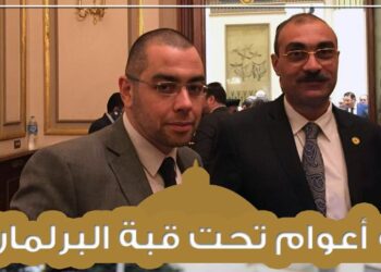 النائبان محمد فؤاد وإيهاب منصور