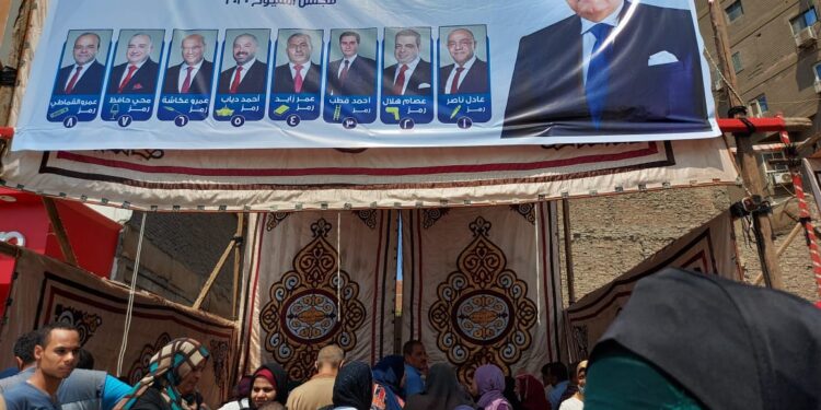 محمد أبو العينين يحشد الناخبين