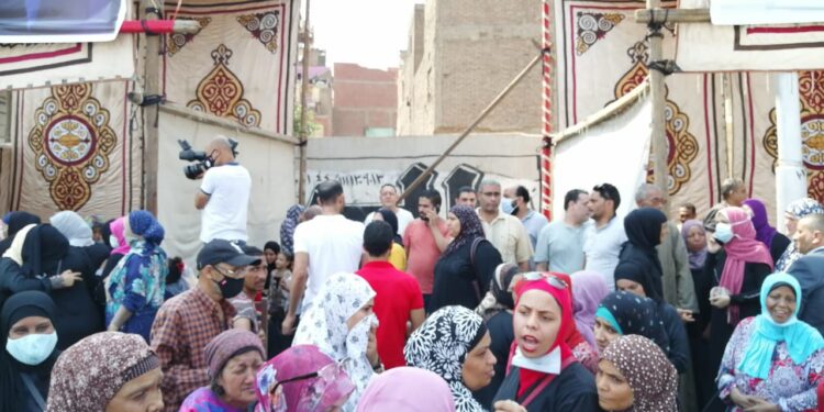 انتخابات مجلس الشيوخ