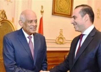 المستشار محمود فوزي مع الدكتور علي عبد العال رئيس مجلس النواب