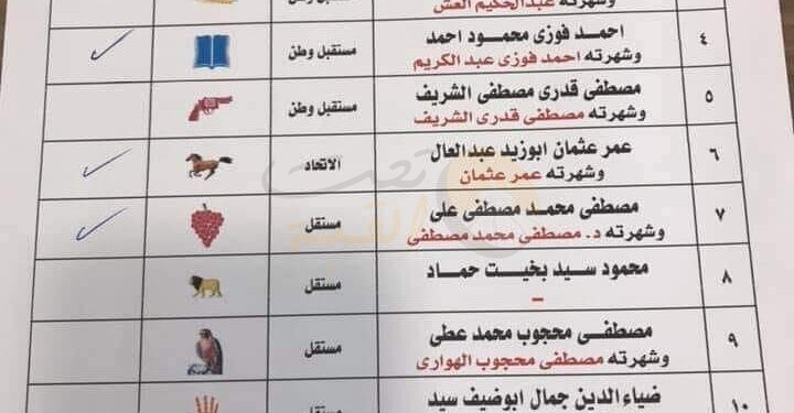 نادي على الصعيدي.. السوهاجية في الغربة يبطلون أصواتهم بالخطأ (التفاصيل)