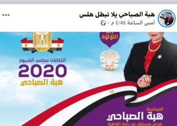 يلا نبطل هلس.. شعار حملة لـ”هبة الصباحي” مرشحة “الشيوخ” في القاهرة