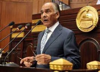 النائب الراحل محمد فريد خميس