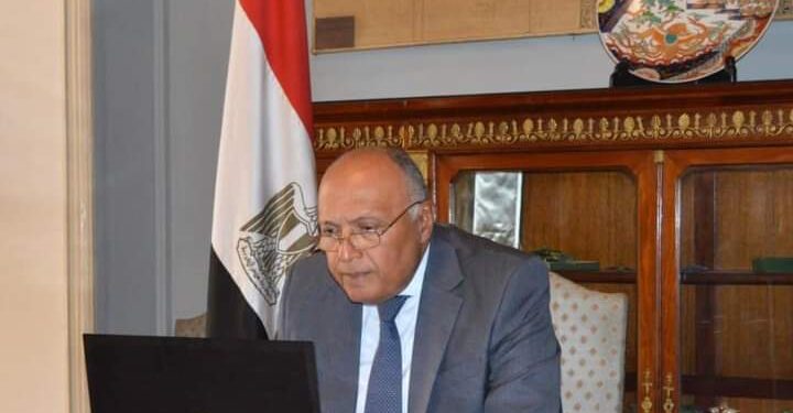 وزير الخارجية: الشعب المصري يقدر مدى تمتعه بحقوقه السياسية والاقتصادية