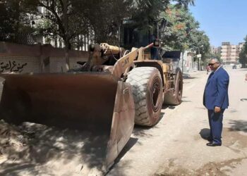 النائب محمود بكري: حملات وجهود مكثفة لإدارات حلوان