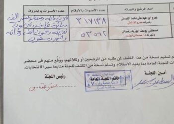 فوز عمرو القماطي في انتخابات الاعادة بمجلس الشيوخ في الجيزة