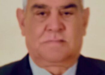 النائب اللواء محمود الضبع