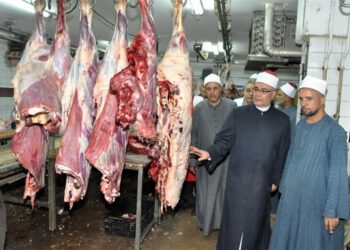 كله لله…”الأوقاف” تستكمل توزيع 15طنًا من لحوم الأضاخي على الأسر الاولى بالرعاية