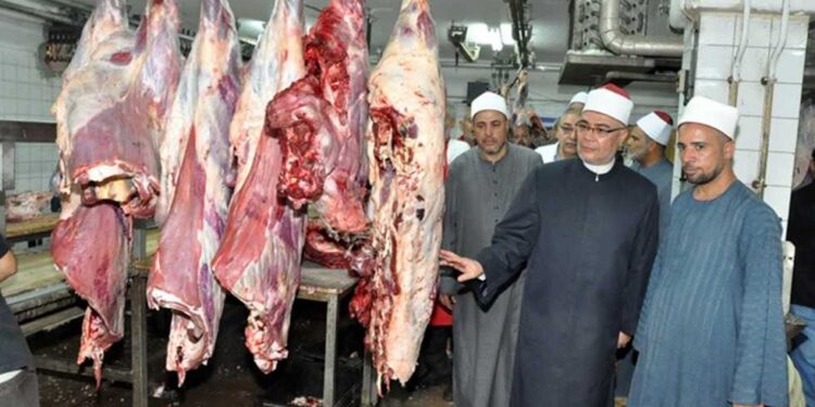 كله لله…”الأوقاف” تستكمل توزيع 15طنًا من لحوم الأضاخي على الأسر الاولى بالرعاية
