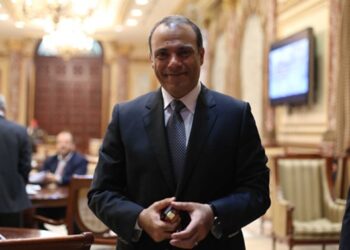 النائب تامر الشهاوي
