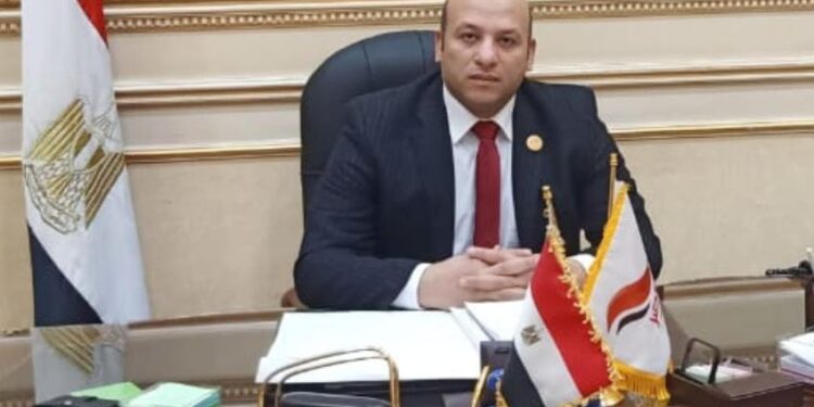 النائب هانى مرجان