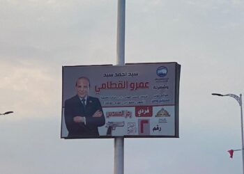 “إزاى سيد تبقى شهرته عمرو”.. تساؤل غريب للكاتبة حنان شومان حول دعايا أحد المرشحين