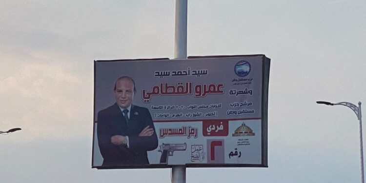 “إزاى سيد تبقى شهرته عمرو”.. تساؤل غريب للكاتبة حنان شومان حول دعايا أحد المرشحين