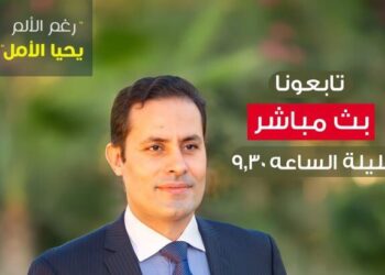 النائب احمد الطنطاوي