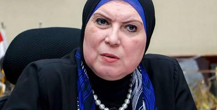 تطور ملموس.. التجارة والصناعة: 21.8 مليار دولار حجم الاستثمارات الأمريكية في مصر