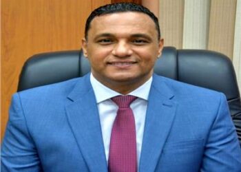 محافظ الدقهلية