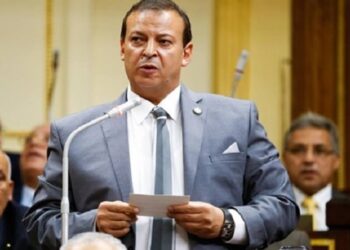 “دليل على وطنيتهم”.. برلماني يشيد بارتفاع تحويلات تحويلات المصريين بالخارج لـ27.8 مليار دولار