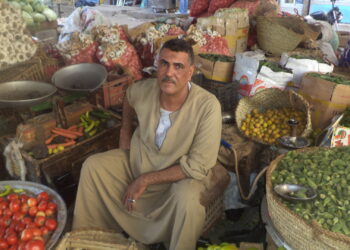 “الطماطم اتجننت”.. إرتفاع جنوني في أسعار “القوطة” وهذه أسباب الإرتفاع وموعد الإنخفاض