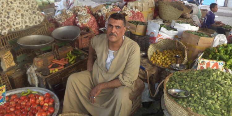 “الطماطم اتجننت”.. إرتفاع جنوني في أسعار “القوطة” وهذه أسباب الإرتفاع وموعد الإنخفاض