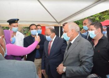 كله تمام.. وزير التنمية المحلية ومحافظ الجيزة بعد تفقد لجان بانتخابات مجلس النواب بالدقي والعجوزة