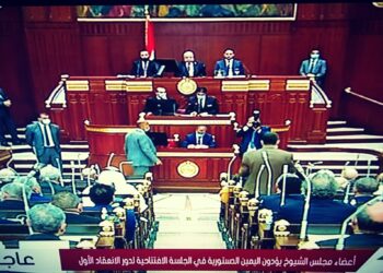 مجلس الشيوخ