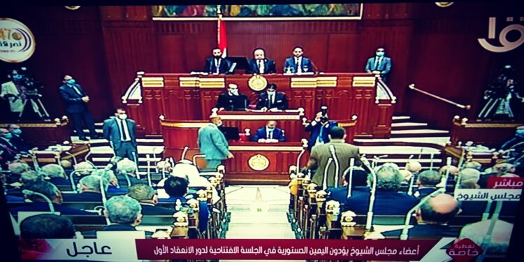 مجلس الشيوخ