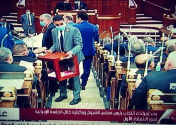 مجلس الشيوخ