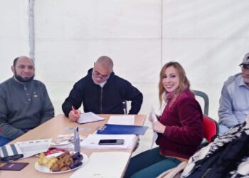 فرحة وانتقاد .. كيف سارت انتخابات المصريين في الخارج لبرلمان 2020 ؟