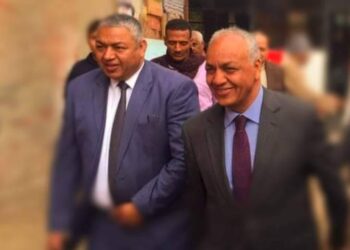 محمود بكري - مصطفي بكري