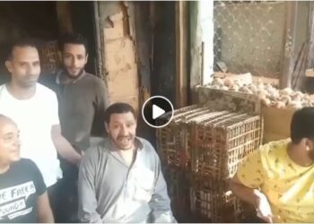من أغنية بتاع الليمون للمرشح الانتخابي أحمد مرتضي منصور