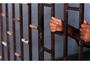 “غرام الأفاعي”.. ننشر اعترافات قاتلة زوجها أثناء علاقتهما الزوجية بالجيزة