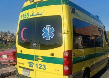 استشهاد مجند وإصابة 19 آخرين في انقلاب سيارة أمن مركزي بطريق الواحات