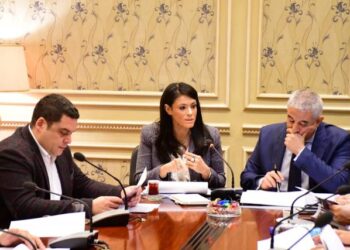“لتحسين جودة الخدمات”.. “المشاط” توضح تفاصيل موافقة البرلمان على اتفاق تمويل بـ225 مليون يورو لدعم الكهرباء