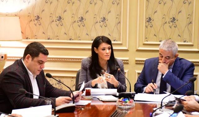 “لتحسين جودة الخدمات”.. “المشاط” توضح تفاصيل موافقة البرلمان على اتفاق تمويل بـ225 مليون يورو لدعم الكهرباء