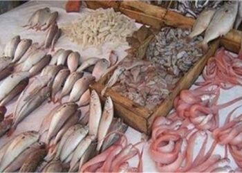 تعرف على أسعار الأسماك والجمبري اليوم الإثنين