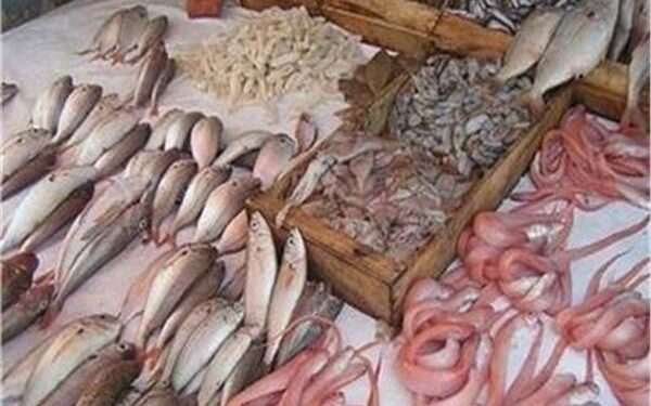 تعرف على أسعار الأسماك والجمبري اليوم الإثنين
