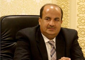النائب محمد علي عبد الحميد، وكيل اللجنة الاقتصادية بمجلس النواب - القطار المكهرب