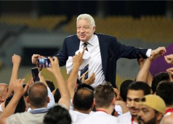 “قاهر مرتضى منصور”.. تعرف على أحمد الألفي الفائز في دائرة ميت غمر