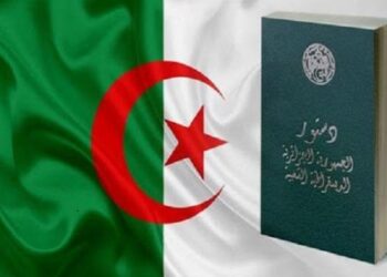 الجزائر.. السلطة الوطنية للانتخابات تعلن الموافقة على دستور البلاد