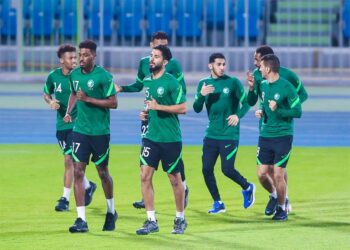 المنتخب الوطني ـ أرشيفية