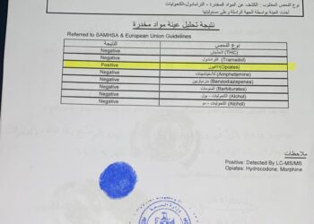 كشف مخدرات للمرشح عماد الدين امام - البدرشين والعياط