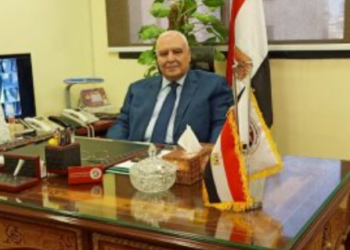 الوطنية للانتخابات: 9 مليون ناخب شاركوا في الانتخابات بنسبة 29.5٪