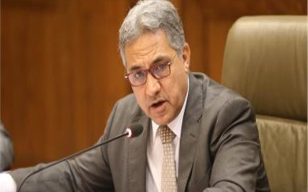 النائب أحمد السجيني
