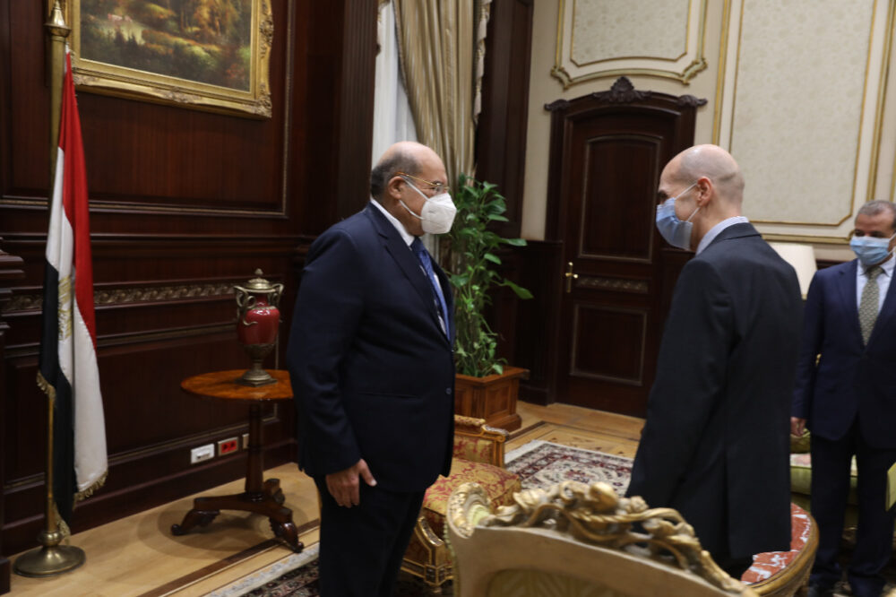 المستشار عبد الوهاب عبد الرازق رئيس مجلس الشيوخ مع سفير حورجيا في مصر