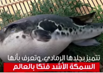 الصحة
