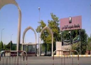بسبب الاندومي