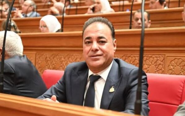 النائب سعيد العماري: مشاركة الرئيس السيسي في الاتصال الإقليمي مع ترامب تجسد ثقل مصر السياسي