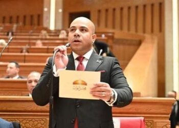 النائب علي خليفة يتقدم بطلبَي إحاطة بشأن تدهور وإغلاق بيوت الثقافة ببولاق الدكرور